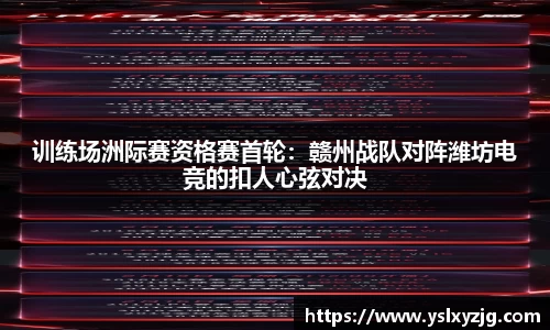 mk体育APP